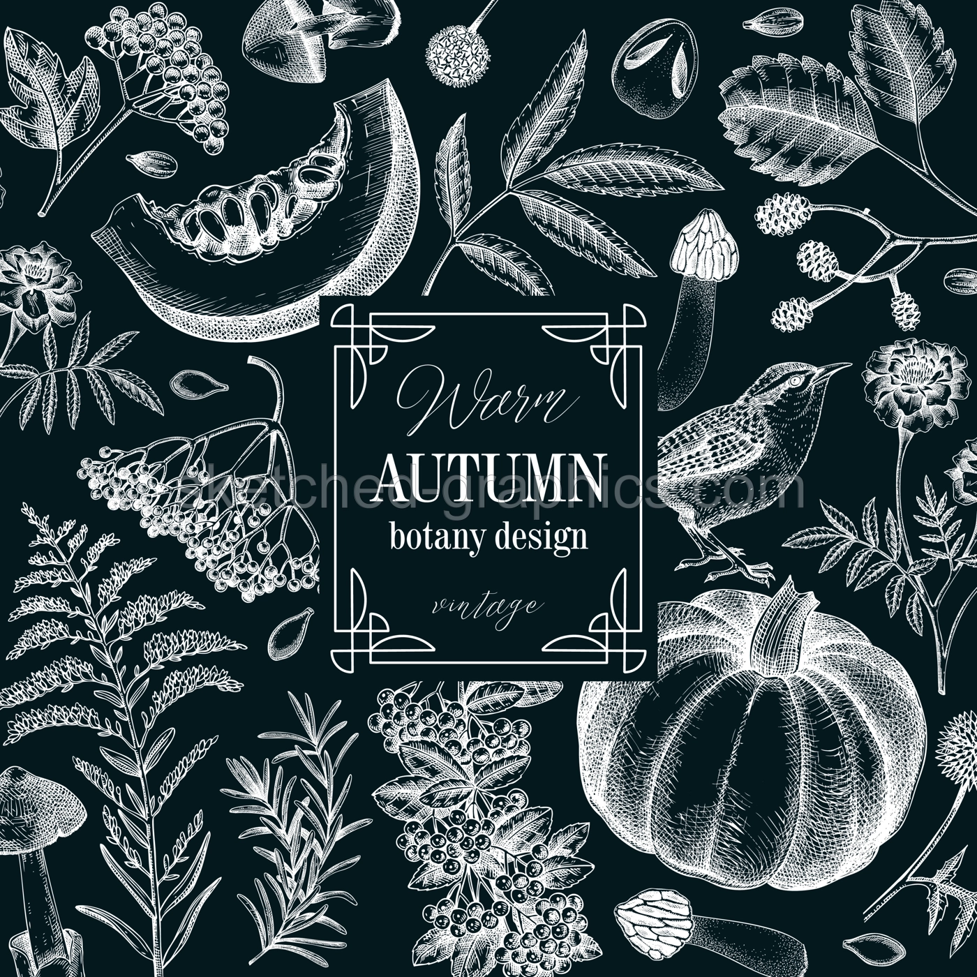 Vintage autumn frame design. Thanksgiving background. Fall leaves, pumpkins, berries, mushrooms sketches on chalkboard. Hand-drawn vector illustration. NOT AI generated Illustration